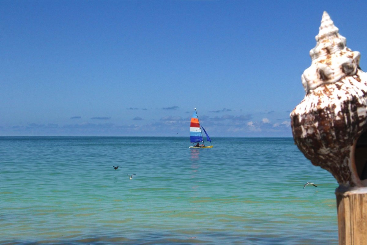 Land for sale on Holbox Island - ocean view and a sailboat in the background