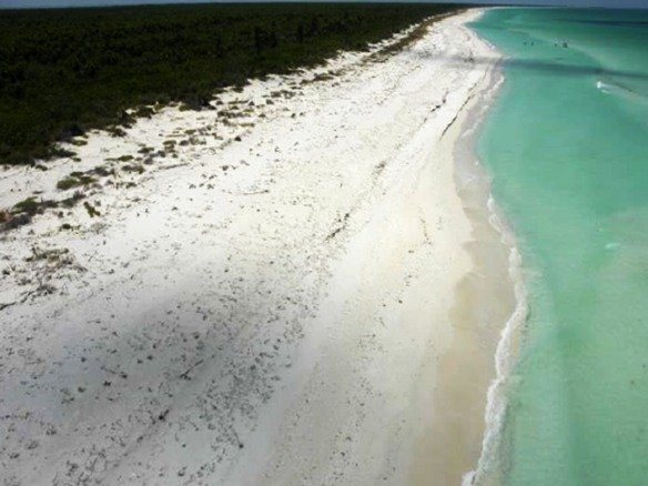 Land for sale on Holbox Island – White-sand beach, turquoise sea, and coastal vegetation in the background