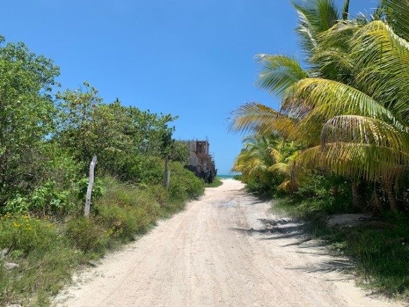 Land for sale on Holbox Island – a sand road lined with tropical vegetation and palm trees leading to the beach