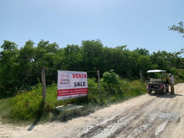 Land for sale on Holbox Island – A sandy path lined with tropical vegetation and palm trees leading to the beach