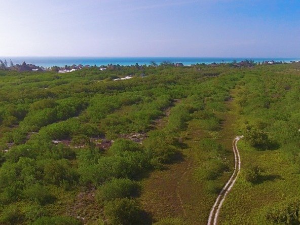 Land for sale on Holbox Island - aerial view toward the mangrove and the sea in the background
