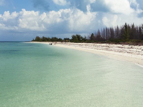 Land for sale on Holbox Island – White-sand beach, turquoise sea and coastal vegetation in the background