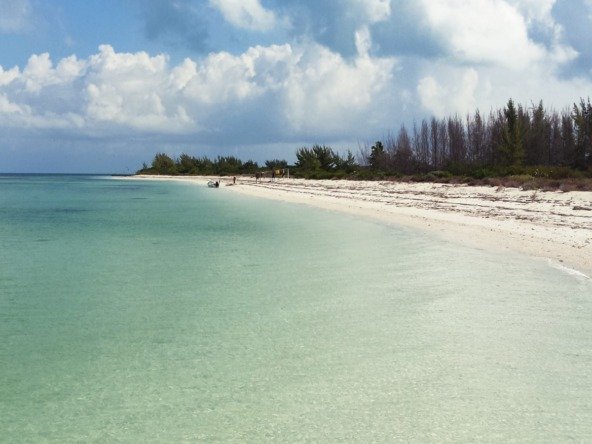 Land for sale on Holbox Island – White-sand beach, turquoise sea and coastal vegetation in the background