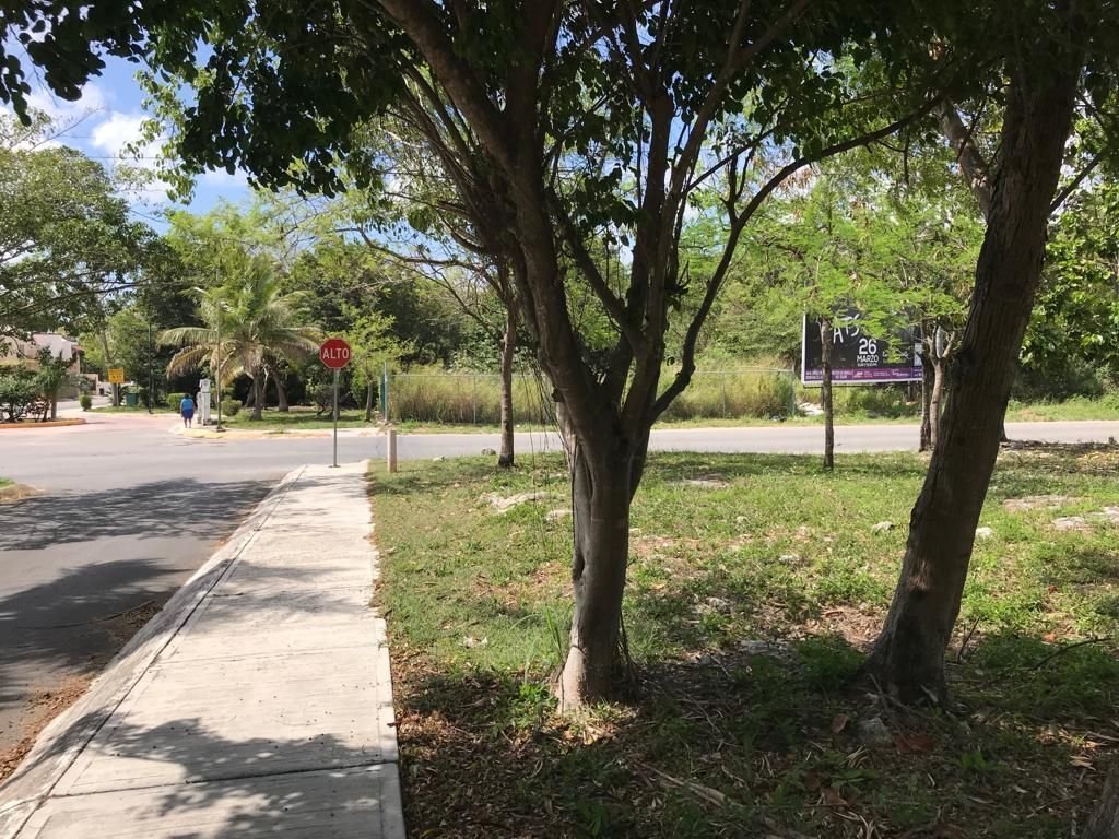 Commercial land for sale in SM 521 Cancún-Street