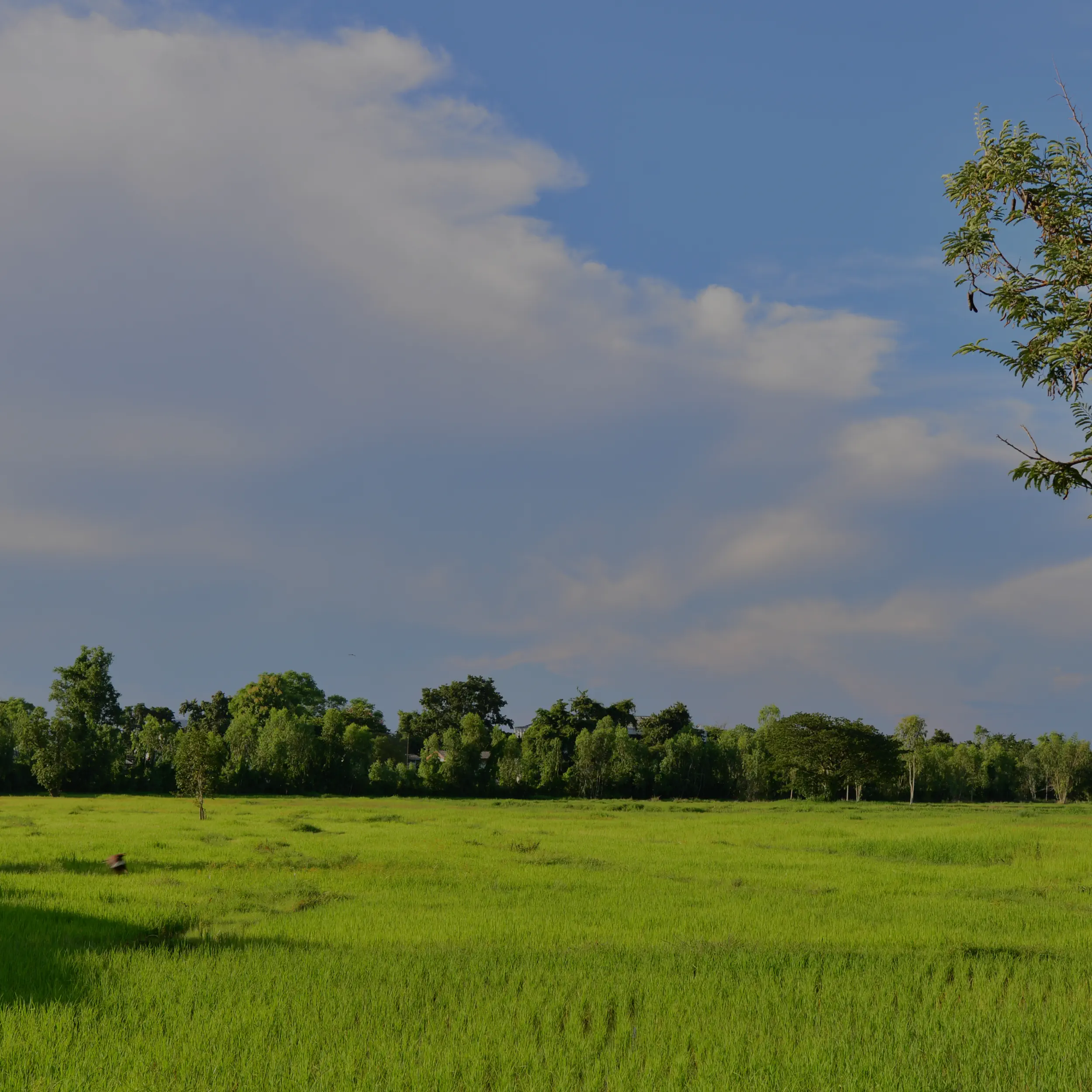 Land for sale in Cancun and Riviera Maya - Costa Realty